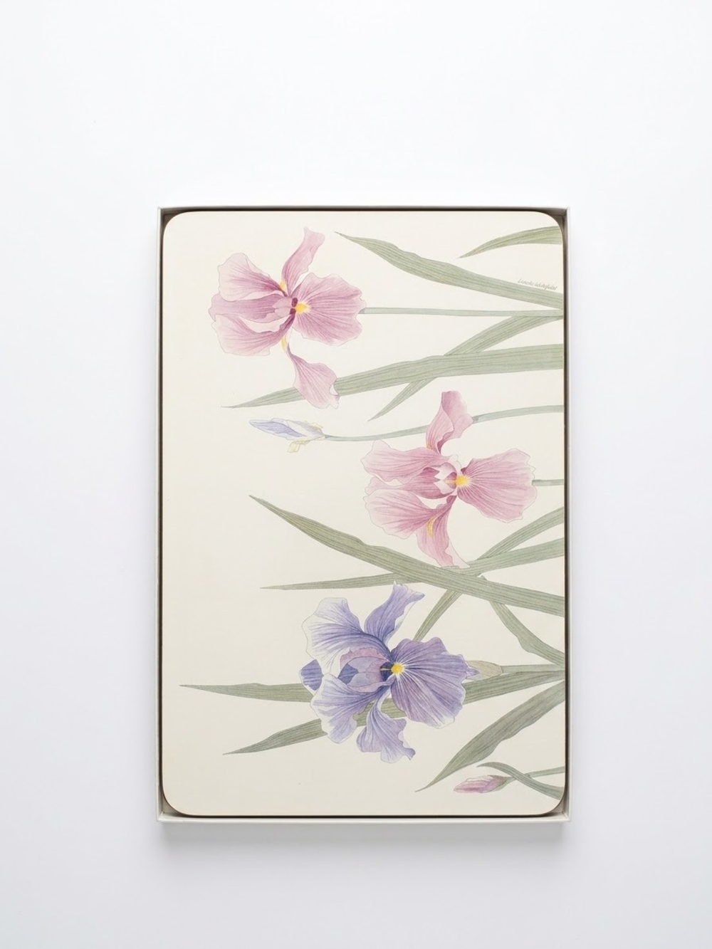Vintage Jason Placemats Set of 4 Irises Lincoln Wakefield New in Box